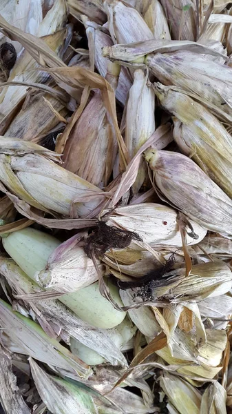 Closeup Dry Corns Pattern Agricultural Theme Background — Stok fotoğraf