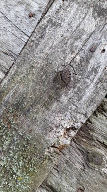 Doğal desenli eski ahşap doku. Klasik ahşap arkaplan