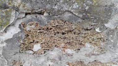 Beton. Eski beton yüzeyi kirli. Antika arka plan