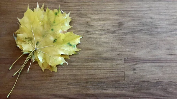 Крупный План Сухих Осенних Листьев Цветочный Фон — стоковое фото