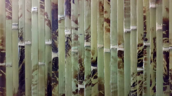 Closeup Green Bamboo Sticks Pattern — Stock Photo, Image
