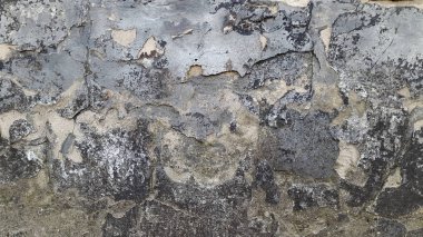 Çatlamış alçı. Sıva. Çatlaklar. Kırsal alçı çatlamış. Abstrakt