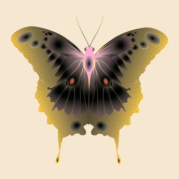 ベージュ地にオリーブピンクの蝶 — ストックベクタ