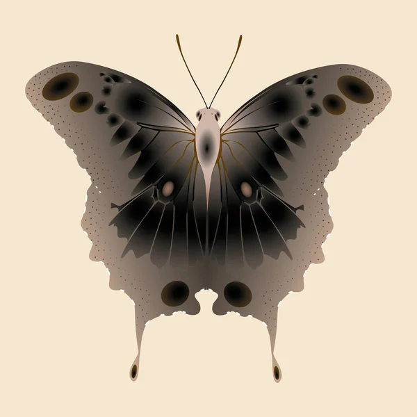 ベージュの背景に淡い蝶 抽象的なベクトル図 — ストックベクタ