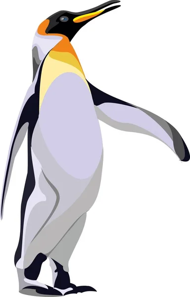 Guter Pinguin Vor Weißem Hintergrund — Stockvektor