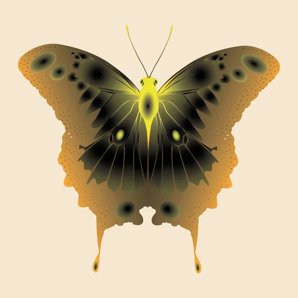 ベージュ地に黄色い茶色の蝶コピースペース — ストックベクタ