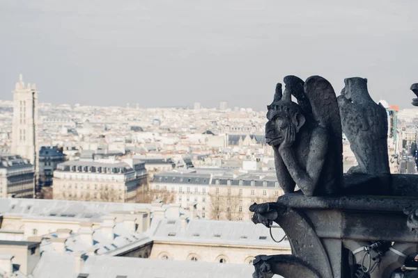 PARIS, FRANCE : vue aérienne du centre de Paris depuis le sommet de Notre Dame de Paris avec statue de chimère le jour, France vers février 2012 . — Photo