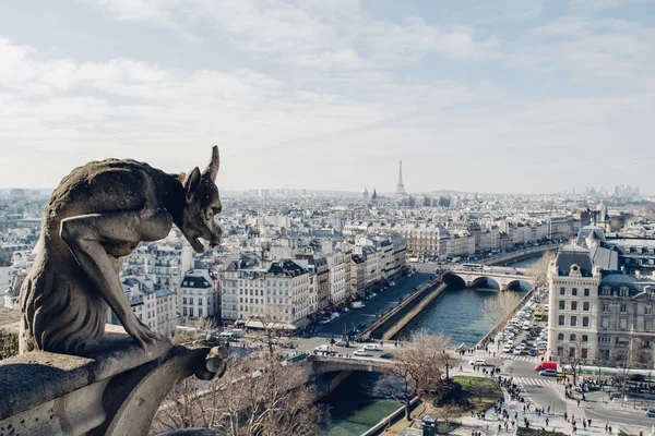 PARIS, FRANÇA: vista aérea do centro de Paris a partir do topo de Notre Dame de Paris com estátua quimera em um dia, França por volta de fevereiro 2012 . — Fotografia de Stock