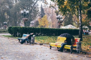 Kiev, Ukrayna - Ekim 2011 yaklaşık: Sonbahar park ağaçları ile Kiev, Ukrayna cicra Ekim 2011 eski kasabasında kuru sarı ve turuncu yaprak ile.