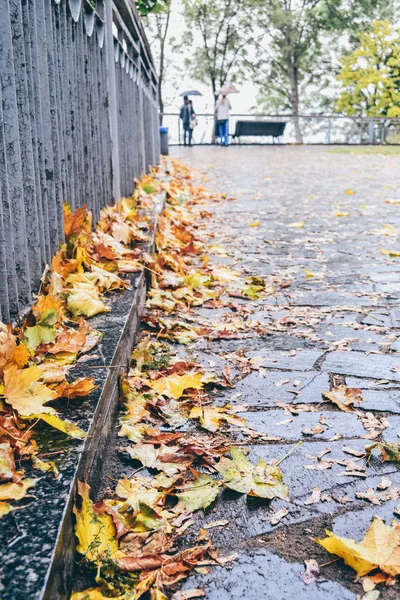 Kiev, Ukraina - Circa oktober 2011: höst park med träd med torra gula och oranga löv i gamla stan i Kiev, Ukraina cicra oktober 2011. — Stockfoto