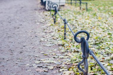 Saint-Petersburg, Rusya Federasyonu-Kasım 2015 yaklaşık: sarı yapraklar içinde tarihi merkezi Saint Petersburg'da Sonbahar 2015 ile parkta yol.