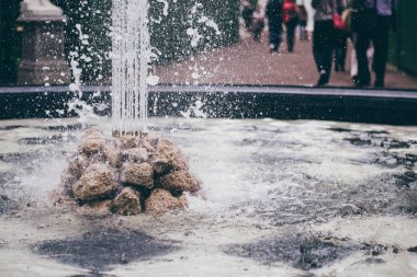 Saint-Petersburg, Rusya Federasyonu-Kasım 2015 yaklaşık: Çeşme yaz bahçesinde içinde tarihi merkezi Saint Petersburg'da sonbahar 2015.