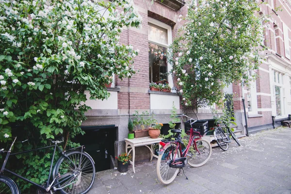 AMSTERDAM - CIRCA JUNIO 2017: vista de un edificio holandés tradicional fachadas y calle en el centro de Amsterdam, Países Bajos en junio 2017 . — Foto de Stock