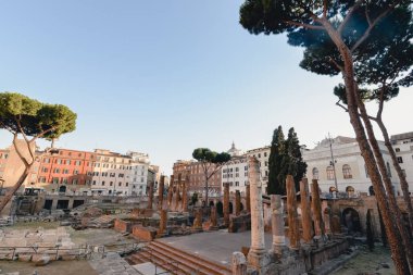 Rome, İtalya - Haziran 2017 yaklaşık: Antik Roma kalıntıları ve Roma, İtalya sütun içinde Haziran 2017 güneşli yaz gününde. 