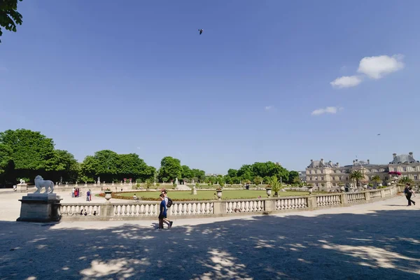 PARIGI, FRANCIA - CIRCA GIUGNO 2017: alberi verdi ed erba a Jardin du Luxembourg o Luxembourg Garden in una giornata di sole a Parigi, Francia nel giugno 2017 . — Foto Stock