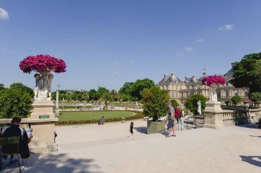 Paris, Fransa - Haziran 2017 yaklaşık: yeşil ağaçlar ve Jardin du Luxembourg veya Lüksemburg Bahçe çim Haziran 2017 yılında güneşli bir günde Paris, Fransa.