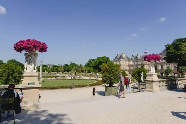 Paris, Francja - około czerwca 2017 r.: zielone drzewa i trawa w Jardin du Luxembourg lub Ogrodu Luksemburskiego, w słoneczny dzień w Paryżu w czerwcu 2017. — Zdjęcie stockowe