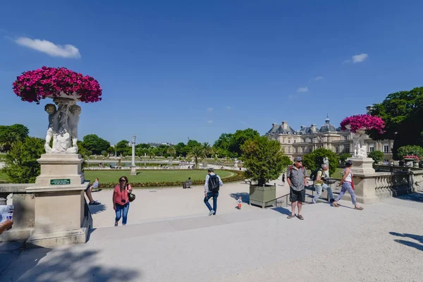 ПАРИЖ, Франция - CIRCA JUNE 2017: зеленые деревья и трава в Люксембургском саду или Люксембургском саду в солнечный день в Париже, Франция в июне 2017 года . — стоковое фото