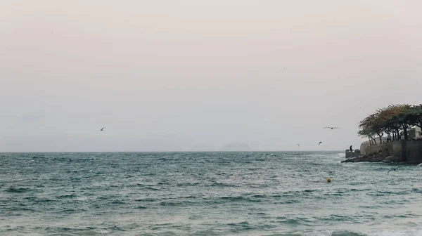 Rio Janeiro Bresil Circa Septembre 2019 Vue Sur Mer Les — Photo