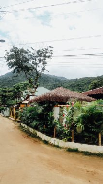 Ilha Grande, Brezilya - Eylül 2019: Rio de Janeiro eyaletindeki Ilha Grande Adası 'nda doğal manzara ve tropikal bitki ve ağaçlar.