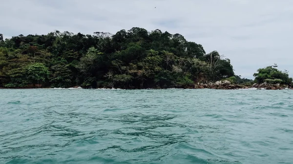 Ilha Grande Brazilië Circa September 2019 Natuurlijke Landschappen Tropische Planten — Stockfoto