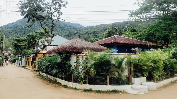 Ilha Grande Brasilien September 2019 Naturlandschaft Und Tropische Pflanzen Und — Stockfoto