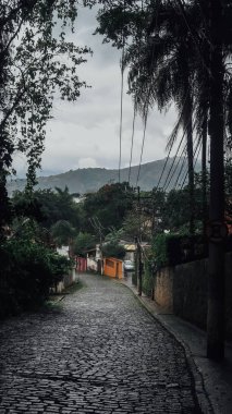 Paraty, Brezilya - Eylül 2019: Rio de Janeiro 'daki eski sömürge şehri Paraty' de çok sayıda bitki ve çiçek bulunan küçük sokaklar.