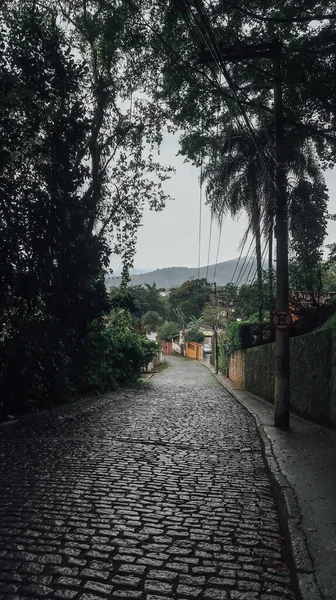 ブラジルのパラティ Circa 2019年9月 旧植民地時代の都市の植物や花がたくさんある小さな通りリオデジャネイロ州のパラティ — ストック写真