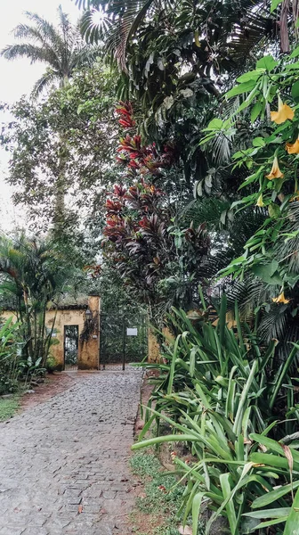 Paraty Brasilien September 2019 Kleine Straßen Mit Vielen Pflanzen Und — Stockfoto