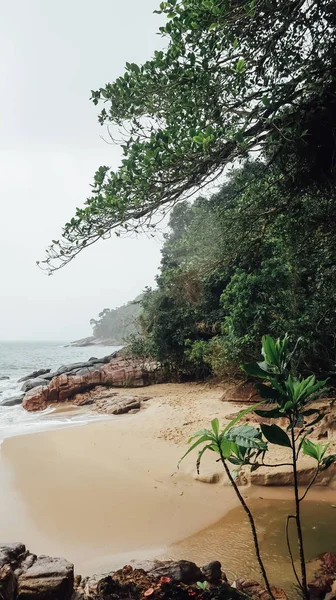 Ubatuba Brazil Circa September 2019 Sandy Beach Rocks Foggy Background — Stockfoto
