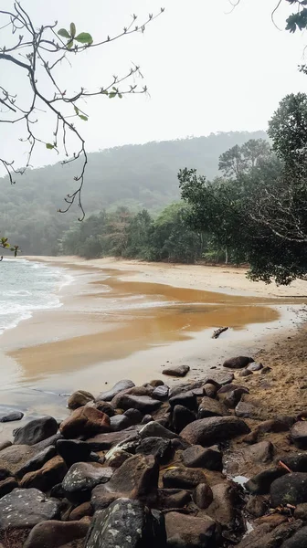 Ubatuba Brazil Circa September 2019 Sandy Beach Foggy Background Bonete — Stockfoto