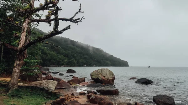 Ubatuba Brasil Circa Septembro 2019 Natureza Praia Oeste Como Parte — Fotografia de Stock