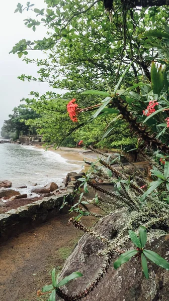 Ubatuba Brazil Circa September 2019 Nature Oeste Beach Part Beaches — Stockfoto