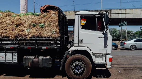 Sao Paulo Brazil Circa September 2019 Transportation Truck Hay Watermelons — Stockfoto
