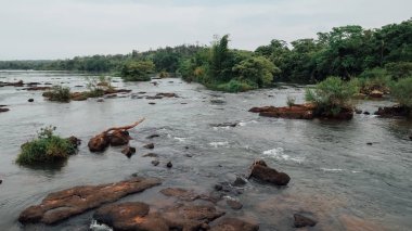 IGUAZU FALls, ARGENTINA - CIRCA EPTEMBER 2019: Arjantin tarafında tropikal doğa ve ormanların bulunduğu Iguazu Şelaleleri ulusal parkında şelaleler.