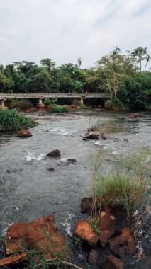 IGUAZU FALls, ARGENTINA - CIRCA EPTEMBER 2019: Arjantin tarafında tropikal doğa ve ormanların bulunduğu Iguazu Şelaleleri ulusal parkında yaya köprüleri ve yollar.