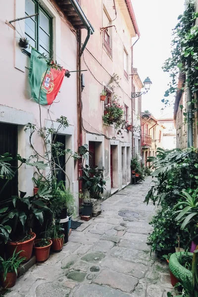 Porto Portugal Marzo 2020 Calle Estrecha Con Plantas Verdes Bandera — Foto de Stock