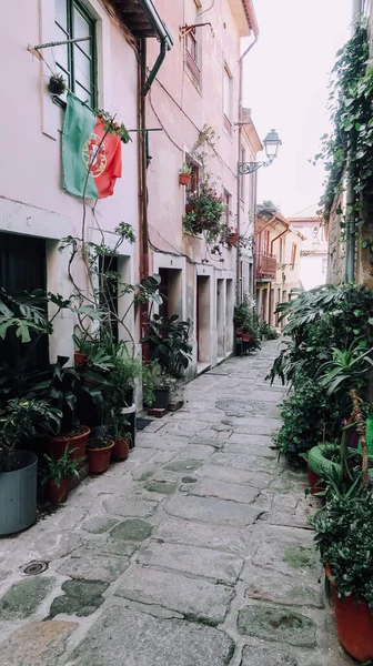 Porto ポルトガル 2020年3月13日 晴れた日にポルトの歴史的中心部にある旧市街の壁に緑の植物やポルトガルの旗を持つ狭い通り — ストック写真