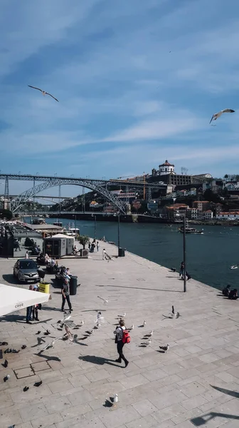 Porto Portugal Mart 2020 Güneşli Bir Günde Porto Nun Tarihi — Stok fotoğraf