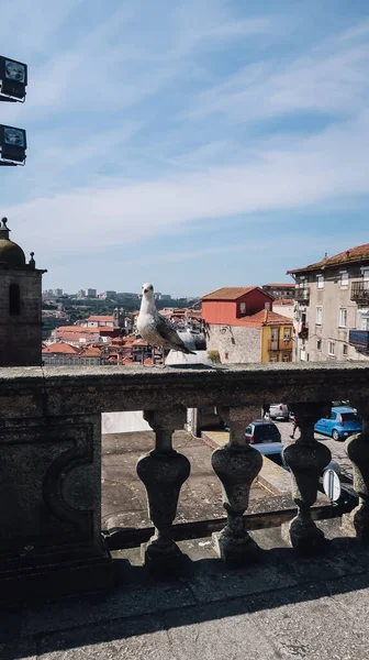 ポルト ポルトガル 2020年3月13日 晴れた日にポルトの歴史的中心部にある旧市街のオレンジ色の赤いタイル張りの屋根と街並みのカモメと景色 — ストック写真