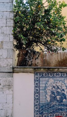 LISBON, PORTUGAL - 15 Mart 2020: güneşli bir günde Lizbon 'un merkezindeki Alfama ilçesinde tarihi eski Alfama kasabasında mavi azulejos fayansları ve limon ağacıyla boş dar sokaklar.