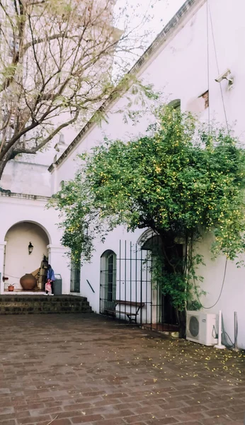 Buenos Aires Argentina Circa Octubre 2019 Paredes Blancas Patio Trasero — Foto de Stock