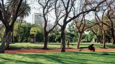 BUENOS AIRES, ARGENTINA - CIRCA ECTOBER 2019: Güneşli bir günde Buenos Aires 'in merkezinde Palermo Mahallesi' nde yeşil çimlerle kaplı park.