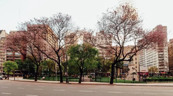 Buenos Aires Argentinien Circa Oktober 2019 Straße Viertel Palermo Zentrum — Stockfoto