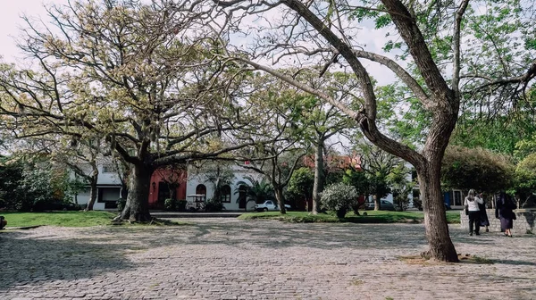 コロニア サクラメント ウルグアイ 10月9 2019 メイン広場晴れた日に最も古い植民地時代の町コロニア サクラメントの市長 — ストック写真