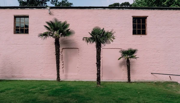 コロニア サクラメント Colonia Del Sacramento Uruguay 10月9日 植民地時代の町コロニア サクラメントのピンクの壁を持つ建物の前にある緑の芝生とヤシの木 — ストック写真