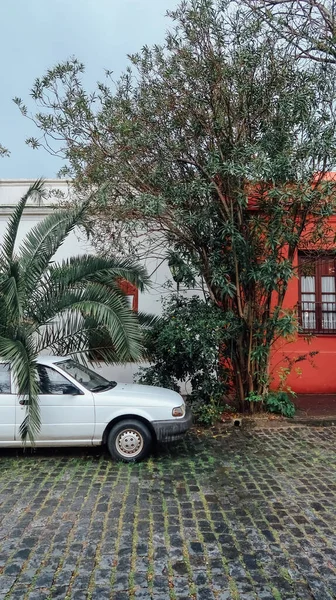 Colónia Del Sacramento Uruguai Outubro 2019 Rua Paralelepípedos Com Edifícios — Fotografia de Stock