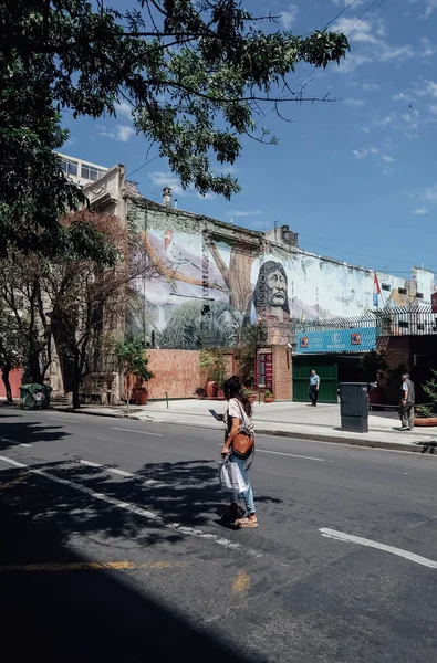 Cordoba Argentina Circa 10月2019 晴れた日にコルドバの中心部の建物の壁に落書きアート — ストック写真