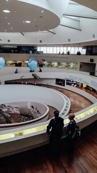 Cordoba Argentina Circa Octubre 2019 Enorme Escalera Caracol Dentro Del — Foto de Stock