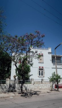 ALTA GRACIA, ARGENTINA - 31 Ekim 2019: Mor çiçekli ağaçlar Cordoba yakınlarındaki eski Alta Gracia kasabasında mavi gökyüzü ile güneşli bir bahar günü.